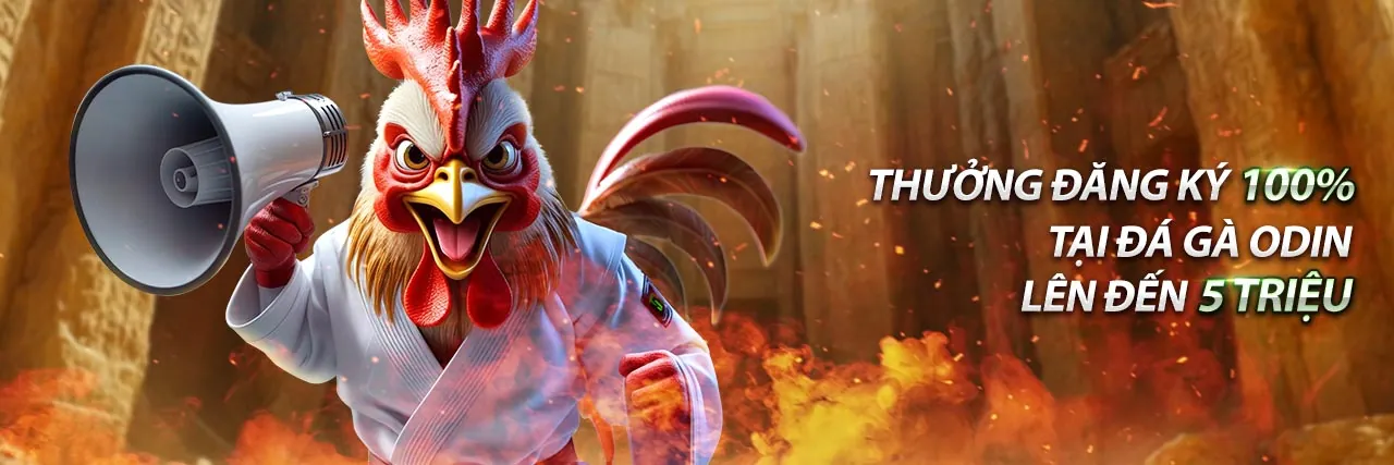 Banner khuyến mãi độc quyền tại cam67